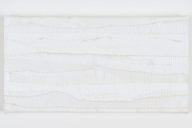 Aislinn Janek Exibition